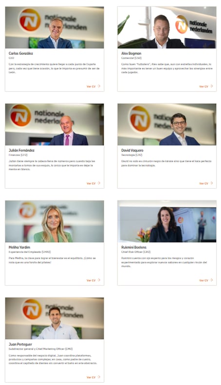 captura-comite-direccion-nationale-nederlanden-espana-03