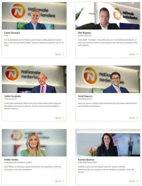 captura-comite-direccion-nationale-nederlanden-espana-03