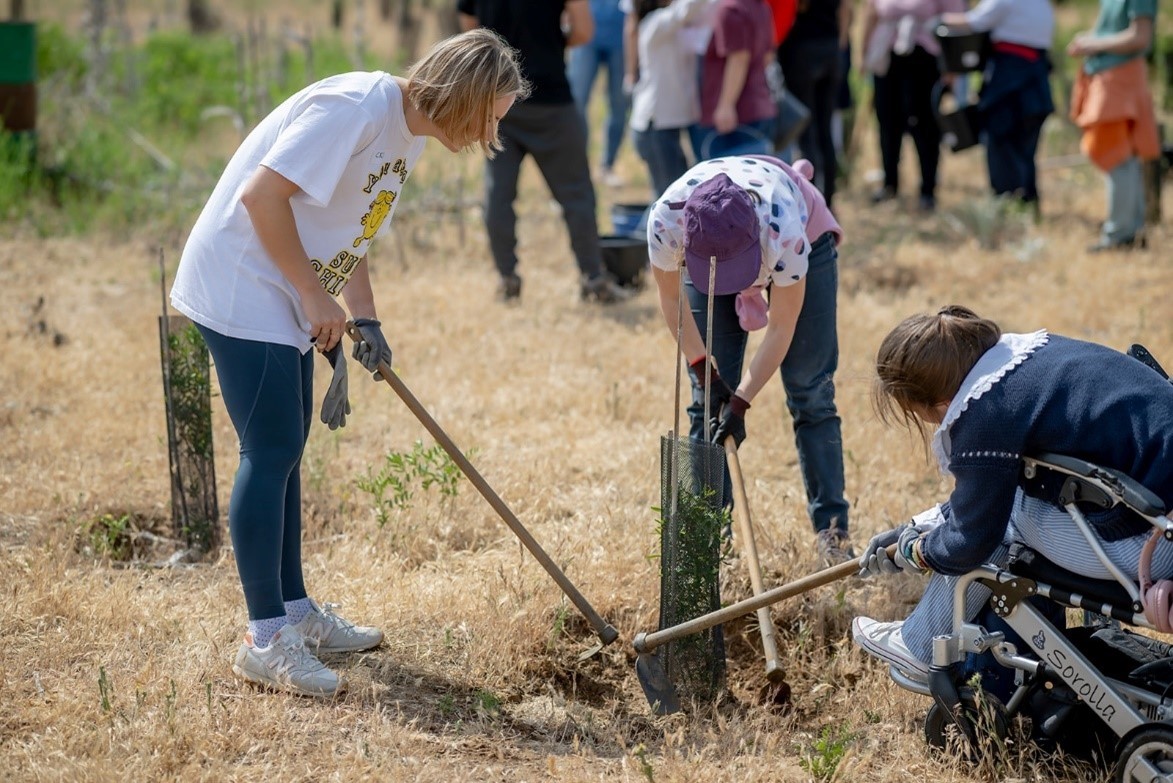 plogging-tour-arboles