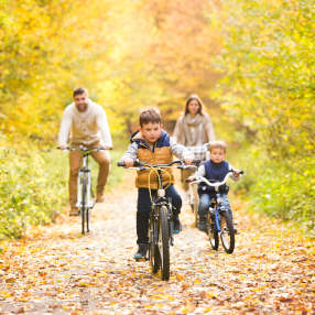 family-bikes-forest