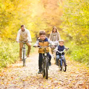 family-bikes-forest